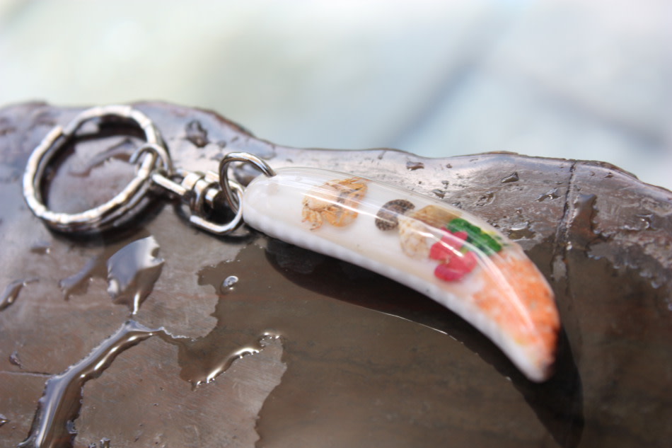 Keychain Seashell w/ Inlay Sea Life #6 - Aloha Keychain Keychain Seashell w/ Inlay Sea Life #6 - Aloha Keychain